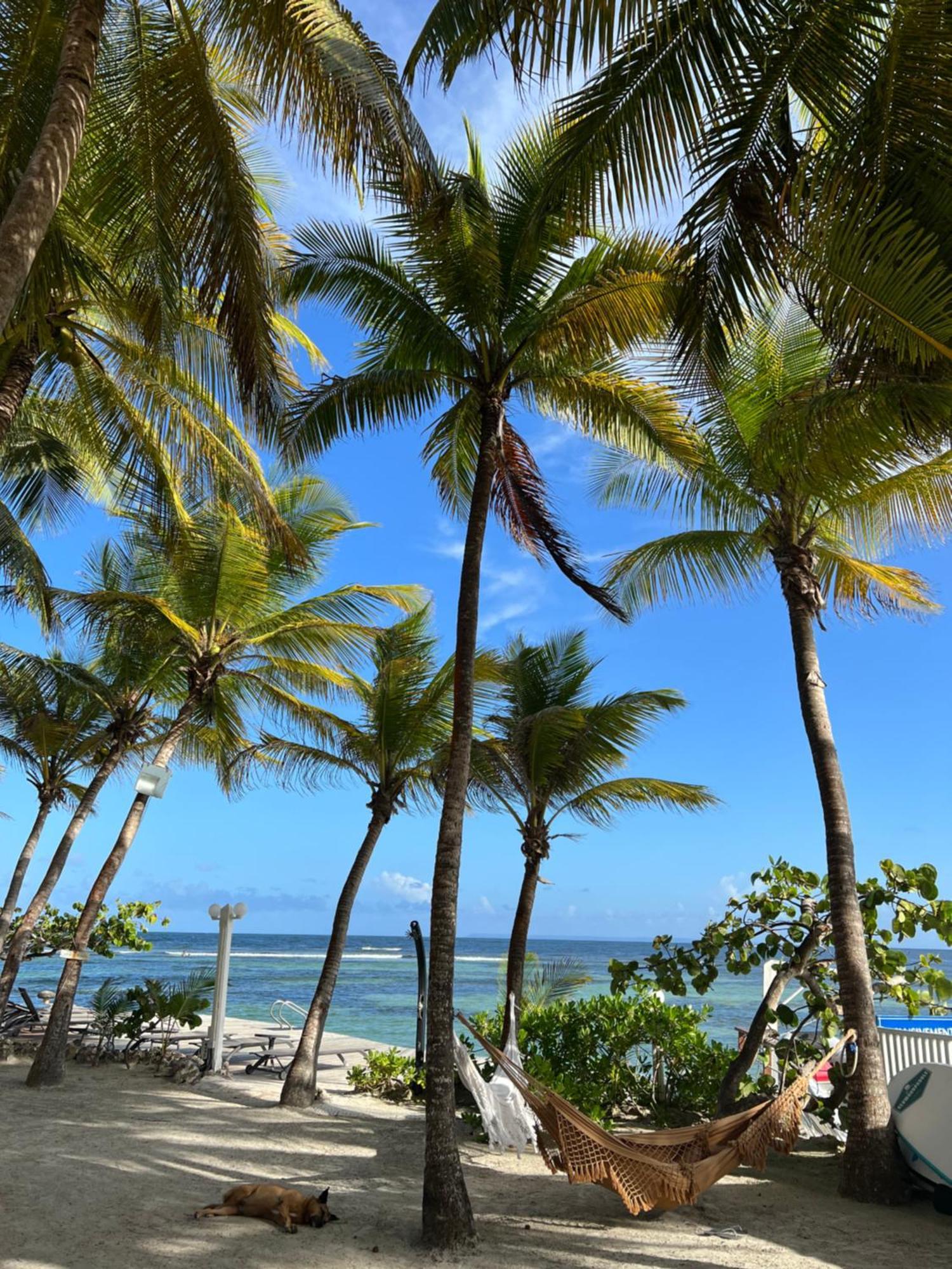 Guadeloupe- Saint-Francois- Residence Anse Des Rochers - Appartement Quart De Villa Etage - Vue Mer- 4 Personnes - Lit Bebe Sur Demande - Citerne Et Wifi Prives -Animaux Ok-Acces Plage Direct -Apnee Bien-Etre Experience Sur Demande Avec Instructeur A Εξωτερικό φωτογραφία
