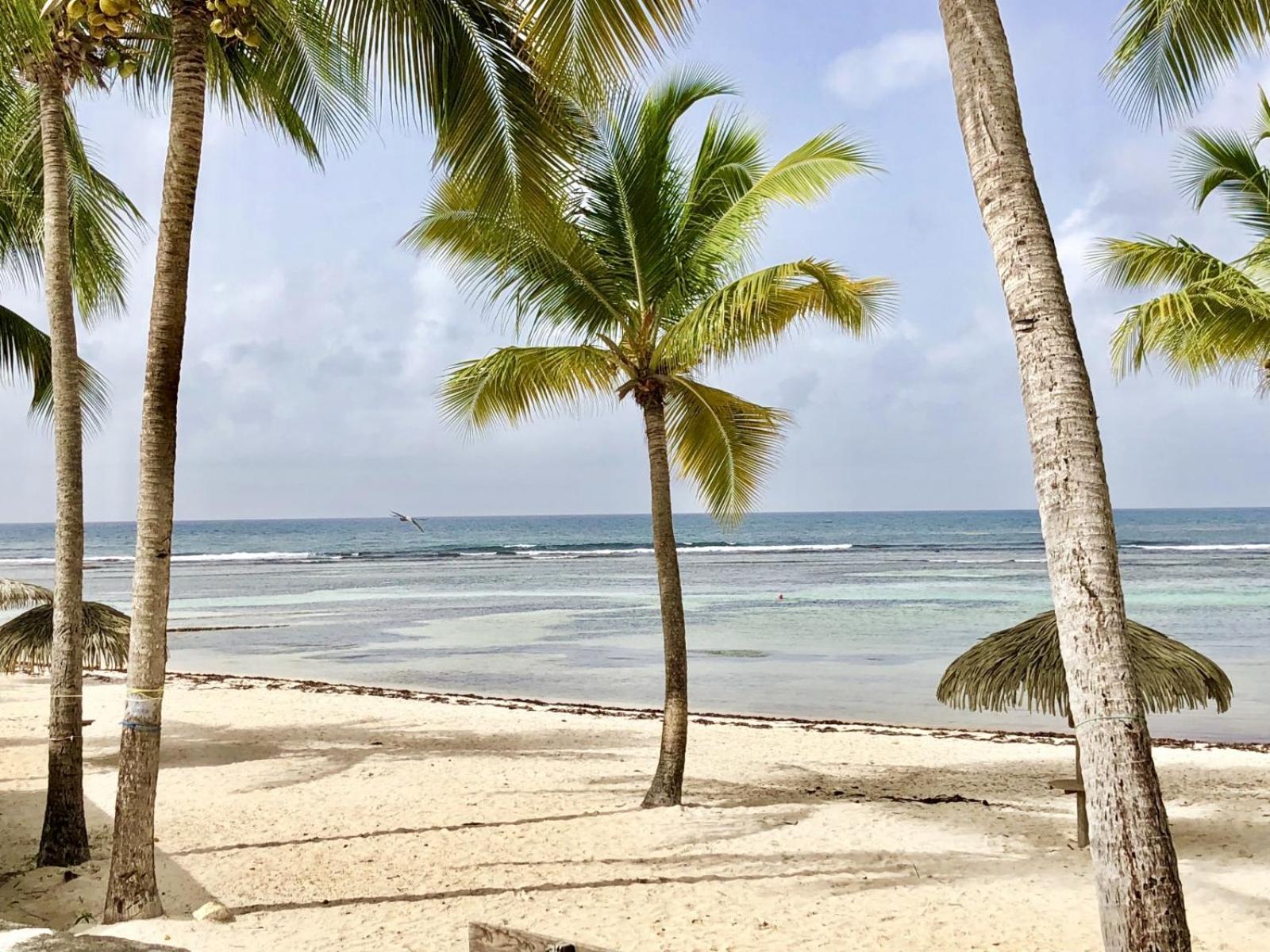 Guadeloupe- Saint-Francois- Residence Anse Des Rochers - Appartement Quart De Villa Etage - Vue Mer- 4 Personnes - Lit Bebe Sur Demande - Citerne Et Wifi Prives -Animaux Ok-Acces Plage Direct -Apnee Bien-Etre Experience Sur Demande Avec Instructeur A Εξωτερικό φωτογραφία